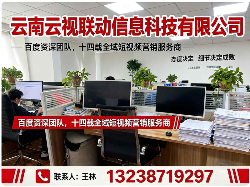 昭通网络服务